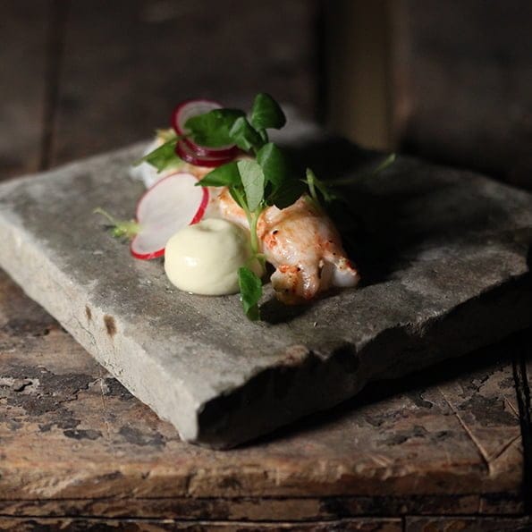 Havskräfta med vegansk skogsemulsion och rädisa meny för alla hjärtans dag förrätt söders gourmet johan heibert gastronomi