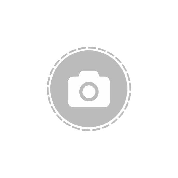 MINOSHARP - Slipsten kombi med fixtur #220/1000